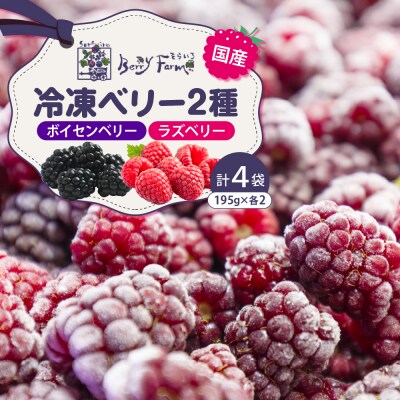 冷凍ベリー2種セット そらいろ Berry Farm提供 山形県 東根市 hi094-002