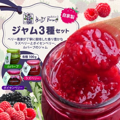 ベリー農家の自家製ジャム3種セット そらいろ Berry Farm提供 東根市 hi094-004