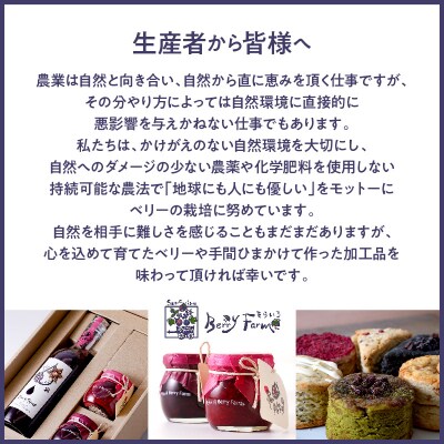 ベリー農家の自家製ジャム3種セット そらいろ Berry Farm提供 東根市 hi094-004