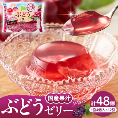 ぶどうゼリー 1袋4個入×12袋 和歌山産業提供 山形県 東根市 hi070-014
