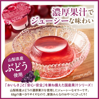 ぶどうゼリー 1袋4個入×12袋 和歌山産業提供 山形県 東根市 hi070-014