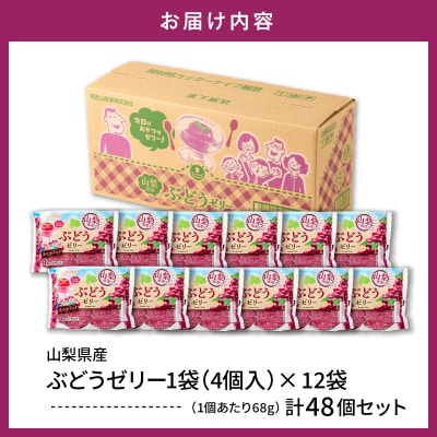 ぶどうゼリー 1袋4個入×12袋 和歌山産業提供 山形県 東根市 hi070-014