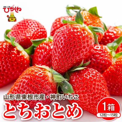 【2027年産】神町いちご(とちおとめ)12粒～15粒 山形県 東根市 hi069-015-r9