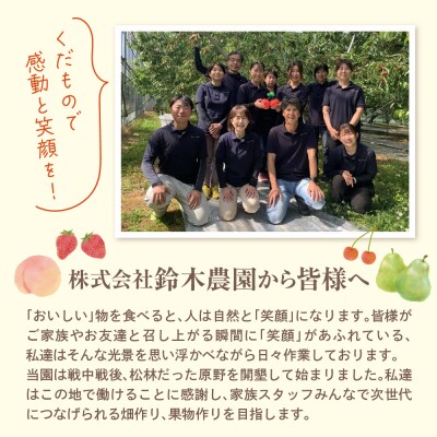 【2027年産】神町いちご(とちおとめ)12粒～15粒 山形県 東根市 hi069-015-r9