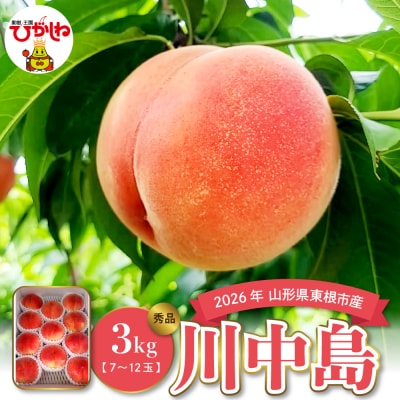 【2026年産】白桃 川中島 3kg みのる果樹園提供 hi063-005-r8