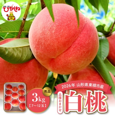 【2026年産】白桃(品種おまかせ)3kg みのる果樹園提供 hi063-003-r8