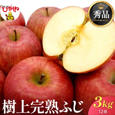【2026年産】 樹上完熟ふじりんご 秀品 3kg化粧箱(12個詰め) JA提供 hi001-049