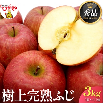 【2026年産】 樹上完熟ふじりんご 秀品 3kg 化粧箱 (10、11個詰め) hi001-050