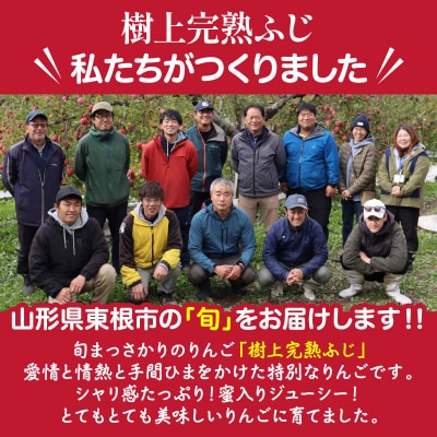 【2026年産】 樹上完熟ふじりんご 秀品 3kg 化粧箱 (10、11個詰め) hi001-050