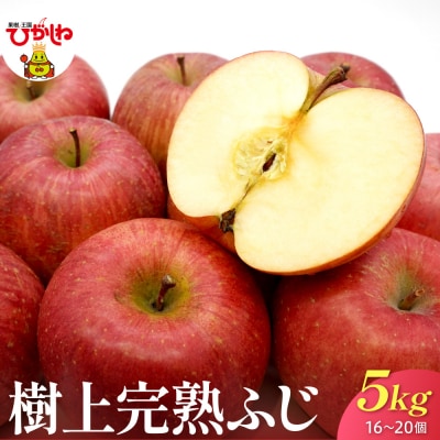 【2026年産】 樹上完熟ふじりんご 赤秀 5kg箱(16、18、20個詰め) hi001-051