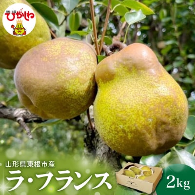 【2026年産】 西洋梨 ラ・フランス 2kg HIGUMAファーム提供 hi088-015-r8