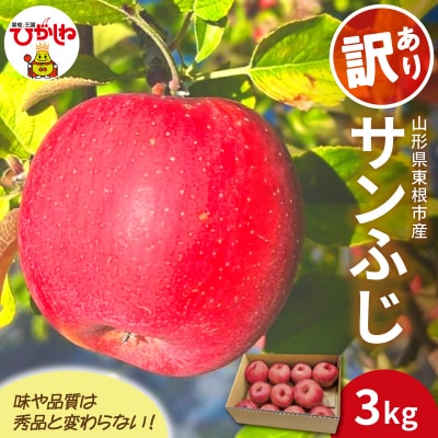 【2026年産】りんご 訳あり サンふじ 3kg HIGUMAファーム提供 hi088-016-r8