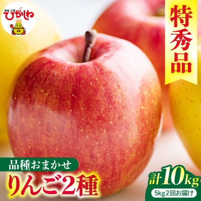 【2回定期便】2026年産 リンゴ 5kg(品種おまかせ)×2回お届け hi089-004-r8