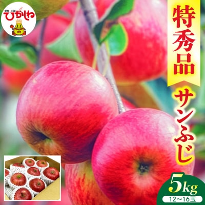 2026年産 リンゴ サンふじ 5kg(12～16玉) 特秀品  hi089-005-r8