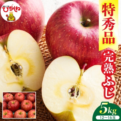 2026年産 リンゴ 完熟ふじ 5kg(12～16玉) 特秀品 hi089-006-r8