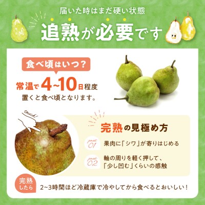【2026年産】 西洋梨 ラフランス 2kg 安達農園提供 hi037-016-r8