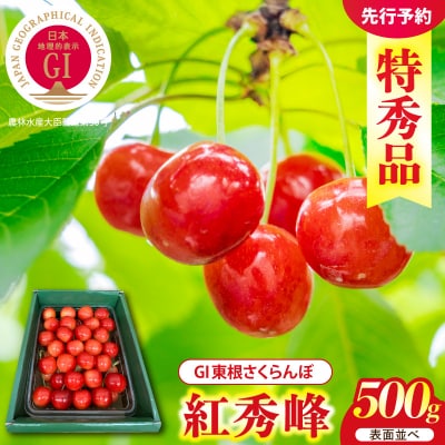 2027年産 GI 東根さくらんぼ 紅秀峰 500g 表面並べ 特秀L以上 hi089-008-r9