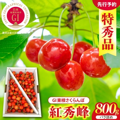 2027年産 GI 東根さくらんぼ 紅秀峰 800g バラ詰め 特秀L以上 hi089-011-r9