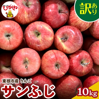 【2026年産】 りんご サンふじ 訳あり 10kg 茶箱 安達農園提供 hi037-022-r8