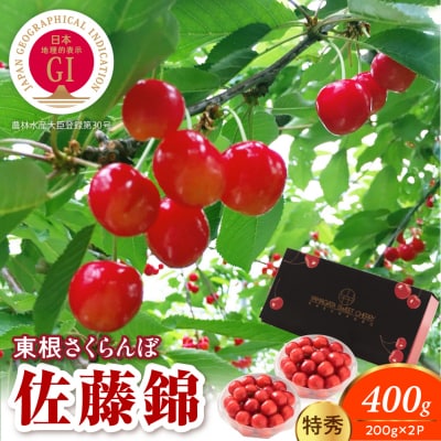【2027年産】 GI 東根さくらんぼ 佐藤錦200g×2P 特秀 L以上 hi082-062-r9