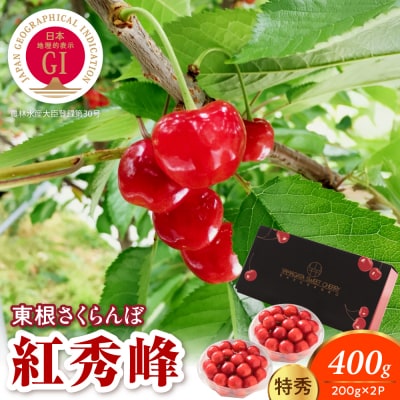 【2027年産】 GI 東根さくらんぼ 紅秀峰200g×2P 特秀 L以上 hi082-063-r9