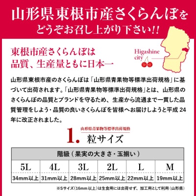 【2027年産】さくらんぼ「佐藤錦」700gバラ 秀品 L以上 hi082-068-r9