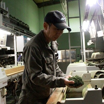 【けやき製茶】かごしま知覧茶便利茶5本セット
