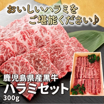 鹿児島県産黒毛和牛ハラミ300g