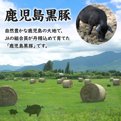 鹿児島黒豚ウインナー2kgセット