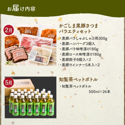 【全4回】南九州まんぞく定期便 ライト