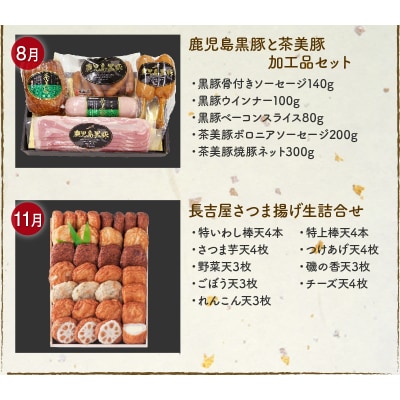 【全4回】南九州まんぞく定期便 ライト