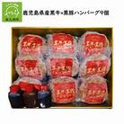 鹿児島県産 黒牛×黒豚ハンバーグ9個