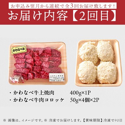 【全3回】かわなべ牛バラエティー定期便