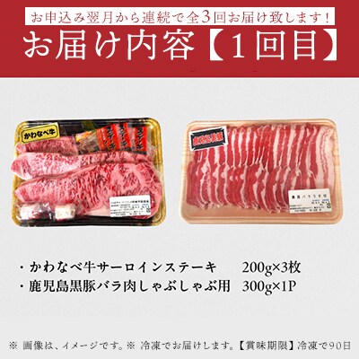 【全3回】かわなべ牛・鹿児島黒豚よりどり定期便
