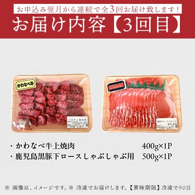 【全3回】かわなべ牛・鹿児島黒豚よりどり定期便