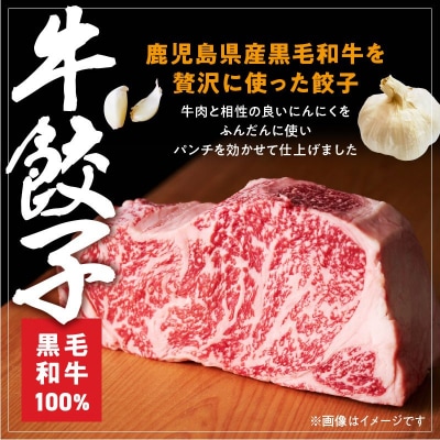 黒黒餃子10個入り×3Pと黒毛和牛100%牛餃子12個入り×3Pセット