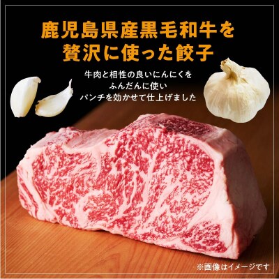 黒毛和牛100%牛餃子12個入り×6Pセット