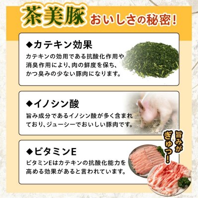 かごしま茶美豚しゃぶしゃぶ食べ比べセット