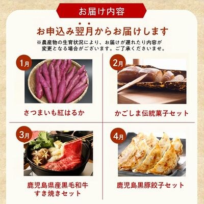 【全12回】毎月『旬』が届く!道の駅川辺やすらぎの郷 月替わりお楽しみ特産品定期便