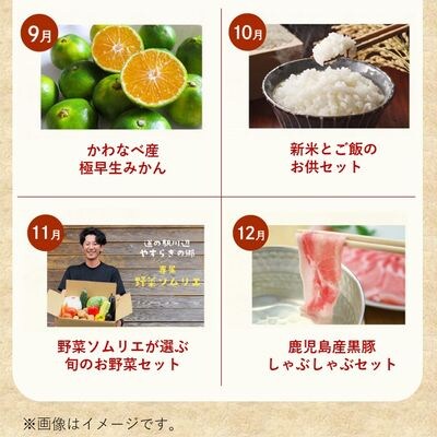 【全12回】毎月『旬』が届く!道の駅川辺やすらぎの郷 月替わりお楽しみ特産品定期便