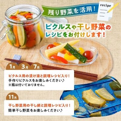 【全4回】南の大地で育てられた旬の野菜・果物定期便