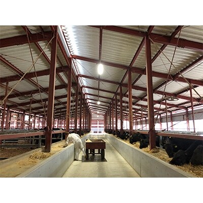 【牧場直売店】兵庫県産黒毛和牛焼肉用バラ700g