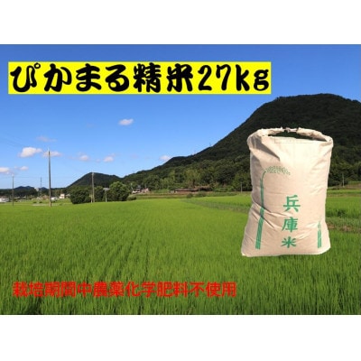 【令和7年産米/栽培期間中農薬化学肥料不使用】ぴかまる精米27kg
