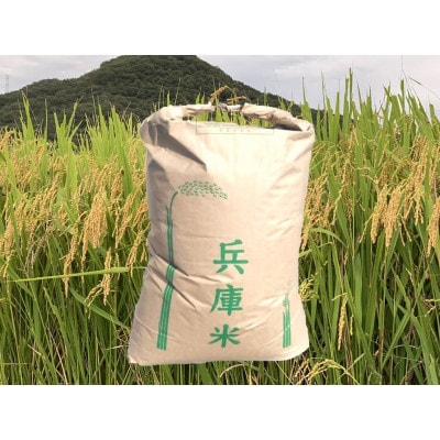 【令和7年産米/栽培期間中農薬化学肥料不使用】ぴかまる精米27kg