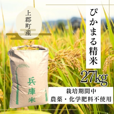 【令和7年産米/栽培期間中農薬化学肥料不使用】ぴかまる精米27kg