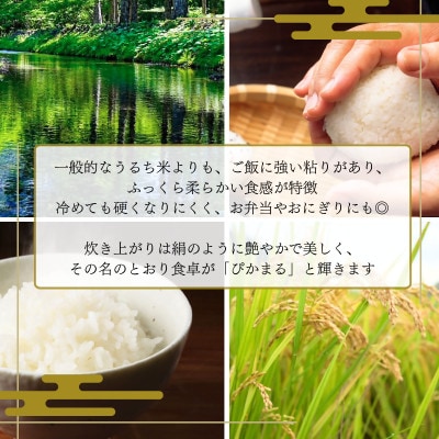【令和7年産米/栽培期間中農薬化学肥料不使用】ぴかまる精米27kg