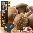 兵庫県産 生椎茸 「しいたけ小町」500g