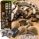 兵庫県産　生椎茸　「しいたけ小町」500gと干し椎茸　3袋のセット