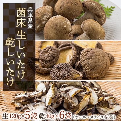生しいたけ120g入×5袋・乾しいたけ30g入×6袋(ホール3袋・スライス3袋)