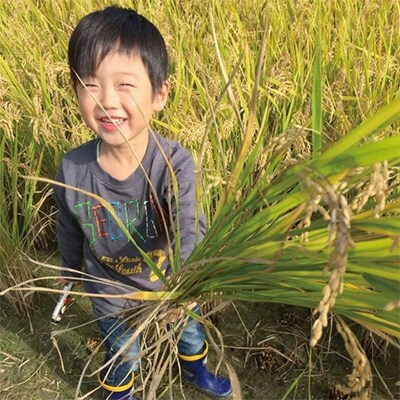 【2020年2月発送】お米食べ比べセット 精米10kg(5kg×2袋)